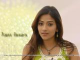 Aditi_Sharma-wallpapers-1