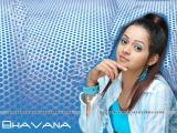 Bhavana
