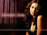 bipasha-basu-wallpapers-10a