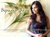 bipasha-basu-wallpapers-12a