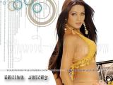 Celina-Jaitley-wallpapers-14