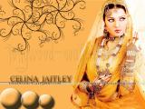 Celina-Jaitley-wallpapers-6
