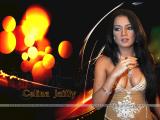 Celina_Jaitley-wallpapers-21