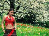 Farzana-wallpapers 3