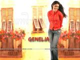 Genelia-wallpapers-34