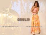 Genelia-wallpapers-35