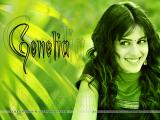 Genelia-wallpapers-36