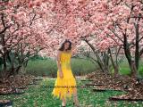 Gowri-wallpapers 1