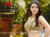 Hansika-wallpapers-26