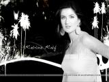 Katrina-Kaif-wallpapers-12