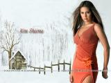 Kim-Sharma-wallpapers-6