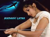 Madhavi_Latha_wallpapers-10