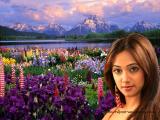 Manya-wallpapers 1