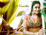 Namitha-wallpapers-14