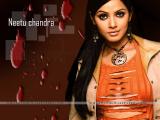 Neetu-Chandra-wallpapers-2