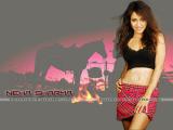 Neha-Sharma-wallpapers-11
