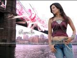 Reema-Sen-wallpapers-5