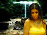 Shriya-wallpapers-13