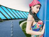 Shriya-wallpapers-16