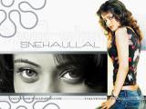 Sneha-Ullal-wallpapers-1
