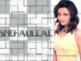 Sneha-Ullal-wallpapers-3