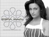 Sneha-Ullal-wallpapers-4