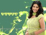 Sneha-wallpapers-11