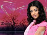 Sneha-wallpapers-15