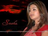 Sneha-wallpapers-20