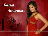 sonal-Chauhan-wallpapers-3a