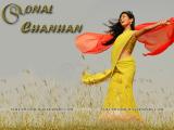 sonal-Chauhan-wallpapers-5a