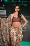 Hyderabad-Fashion-Week-2011-006