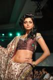 Hyderabad-Fashion-Week-2011-007