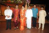 Allu Arjun Reception Photos (59)