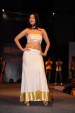 Hyderabad-Designer-Week-Fashion-Show-2010-Pictures-003