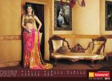 Kalamandir The Calendar 2011 (10)