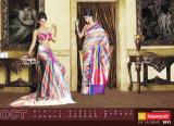 Kalamandir The Calendar 2011 (9)