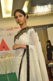 anthem Intuitive fashion show (29)