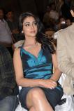 Southscope-magazine-calander-launch-pictures-053