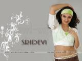 Sridevi-wallpapers-10
