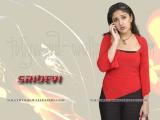 Sridevi-wallpapers-13