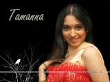 Tamanna-wallpapers-9