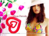 Gauri-wallpapers-002