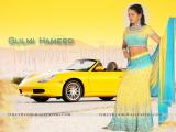 Gulmi-Hameed-wallpapers-002