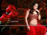 Jasmine-wallpapers-4