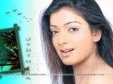 Jyothika-wallpapers-9
