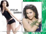 Pooja-Sharma-wallpapers-3