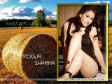 Pooja-Sharma-wallpapers-4