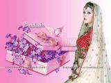 Saidah-wallpapers-3