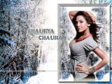 Shourya-Chauhan